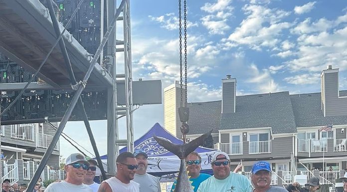 Big billfish aren’t biting, but $7 milllion top prize will still be awarded at White Marlin Open – Daily Press