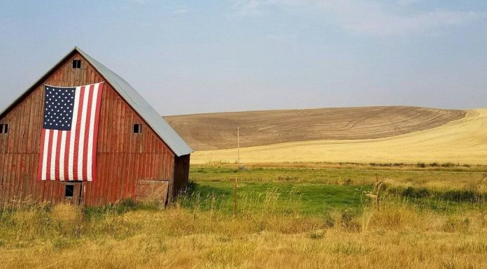 Anglo-American Culture at its Limits